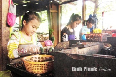 Trả lại mùa hè cho em